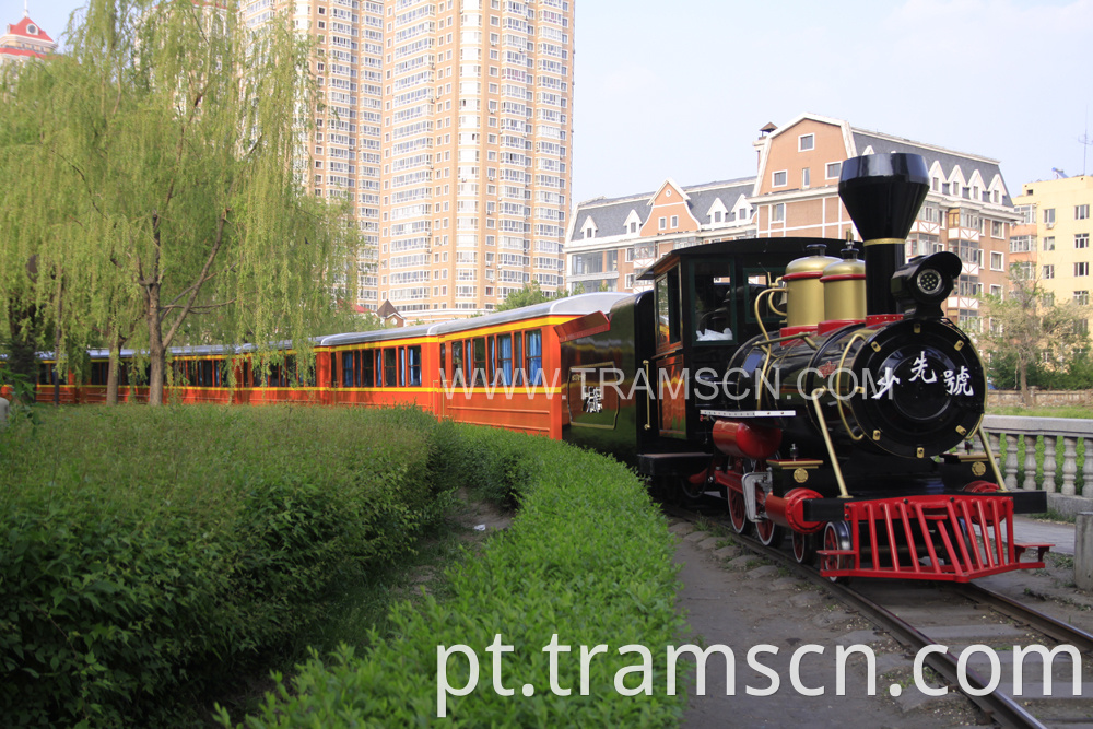 sightseeing train in park track